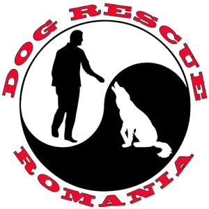 Dog Rescue România