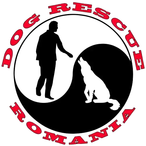 DOG RESCUE